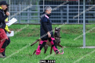 IMG_5193.jpg
