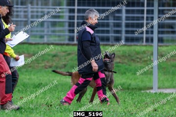 IMG_5196.jpg