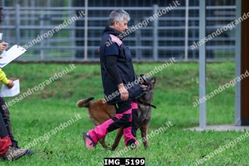IMG_5199.jpg