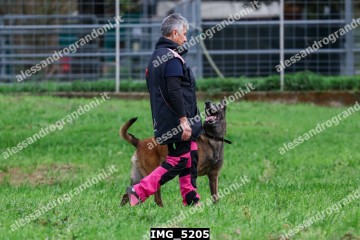 IMG_5205.jpg