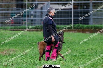 IMG_5208.jpg