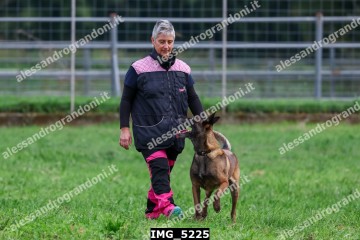 IMG_5225.jpg