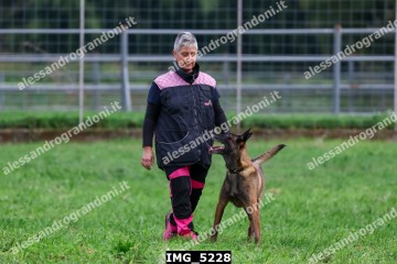 IMG_5228.jpg