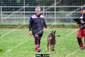IMG_5234.jpg