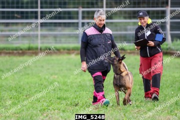IMG_5248.jpg