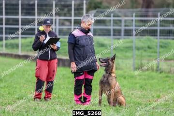 IMG_5268.jpg