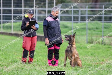 IMG_5272.jpg