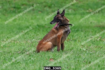 IMG_5365.jpg
