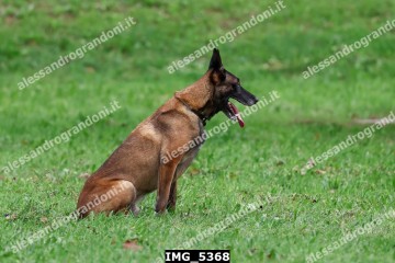 IMG_5368.jpg