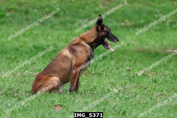 IMG_5371.jpg