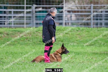 IMG_5382.jpg