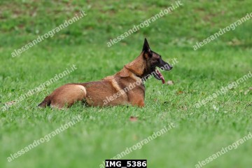 IMG_5386.jpg