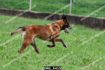 IMG_5415.jpg
