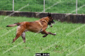 IMG_5416.jpg