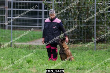 IMG_5423.jpg
