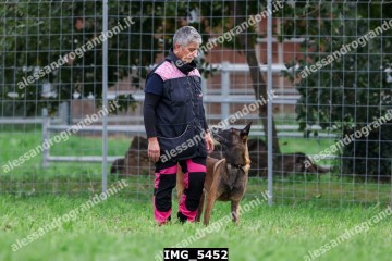 IMG_5452.jpg