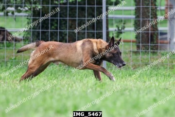 IMG_5467.jpg