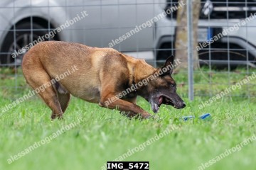 IMG_5472.jpg