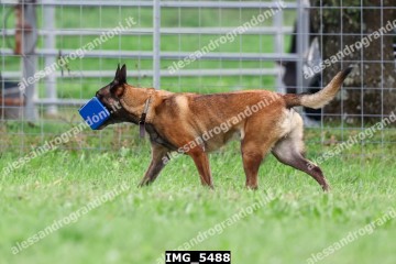 IMG_5488.jpg