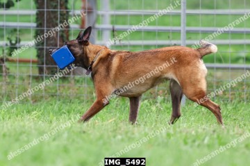 IMG_5492.jpg
