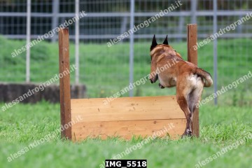 IMG_5518.jpg