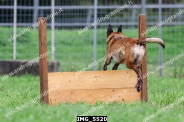 IMG_5520.jpg
