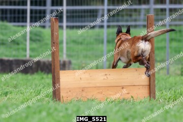 IMG_5521.jpg