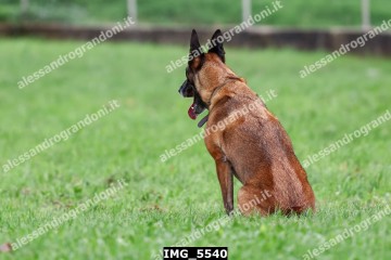 IMG_5540.jpg