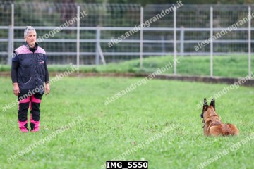 IMG_5550.jpg