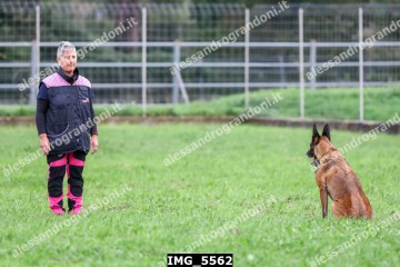 IMG_5562.jpg