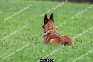 IMG_5608.jpg