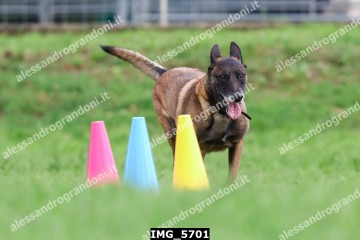 IMG_5701.jpg