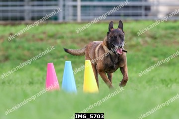 IMG_5703.jpg