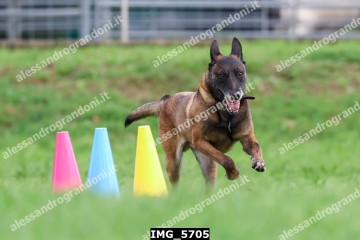 IMG_5705.jpg