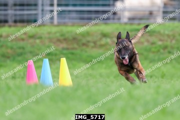 IMG_5717.jpg