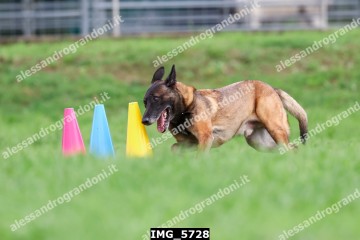 IMG_5728.jpg