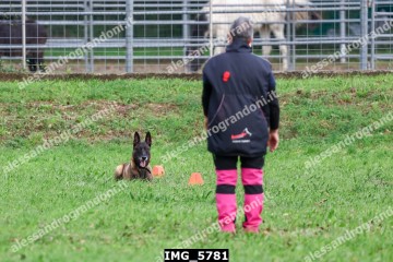 IMG_5781.jpg