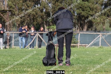 IMG_0034.jpg