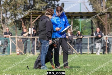 IMG_0036.jpg