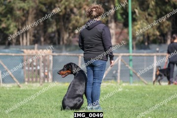 IMG_0049.jpg