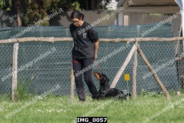 IMG_0057.jpg