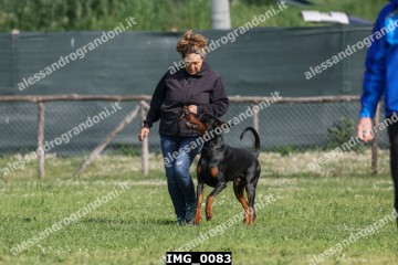 IMG_0083.jpg