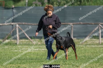 IMG_0098.jpg