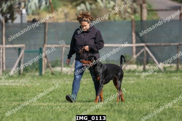 IMG_0113.jpg