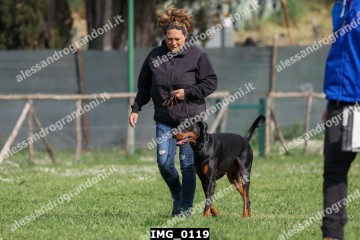 IMG_0119.jpg