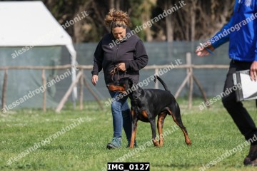 IMG_0127.jpg