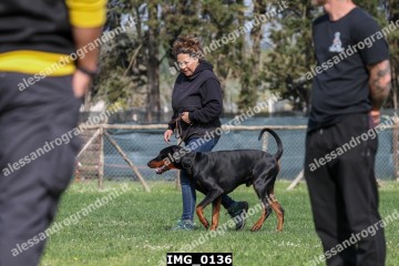 IMG_0136.jpg