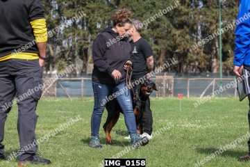 IMG_0158.jpg
