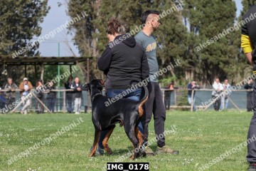 IMG_0178.jpg