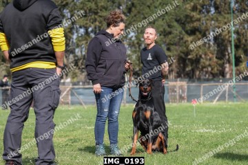 IMG_0193.jpg